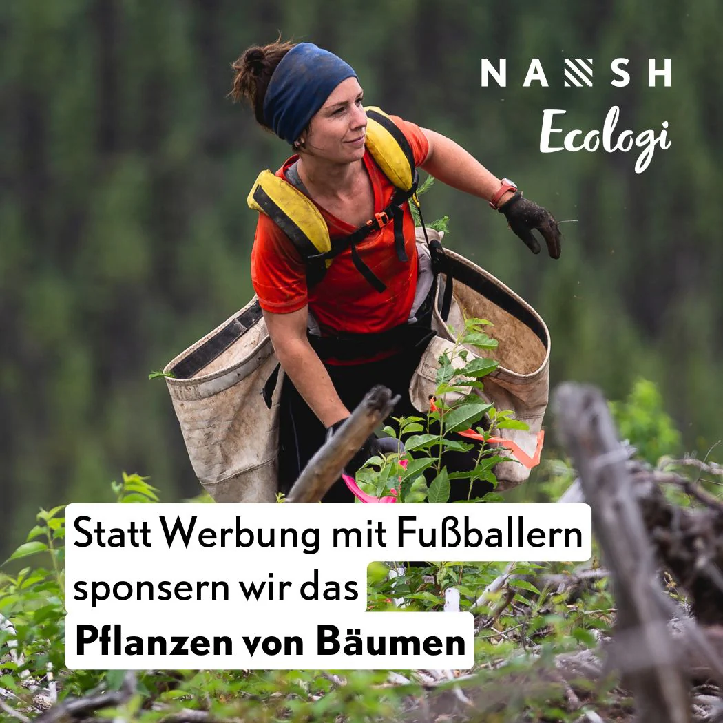 Vorschaubild 12